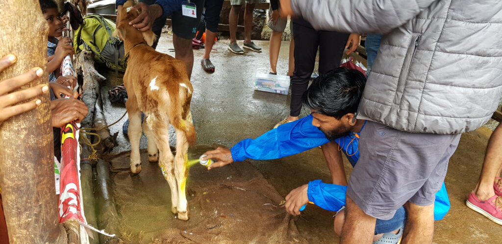 Animal Warriors Conservation Society Wildlife Conservation Animal Rescue