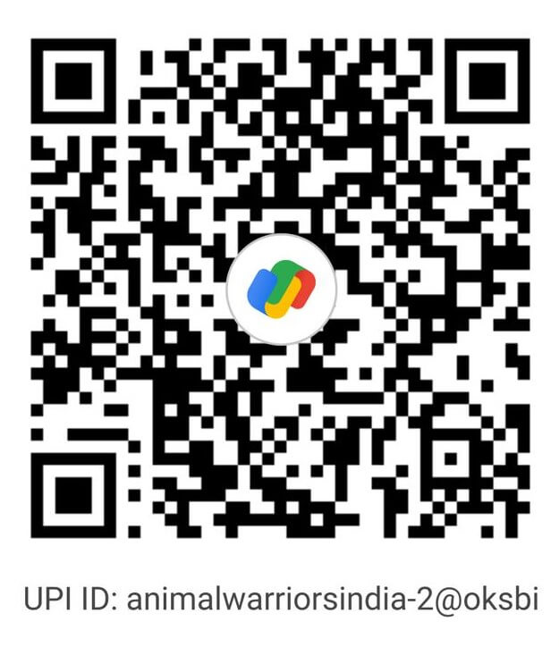 ANIMLA RESCUE DONATE